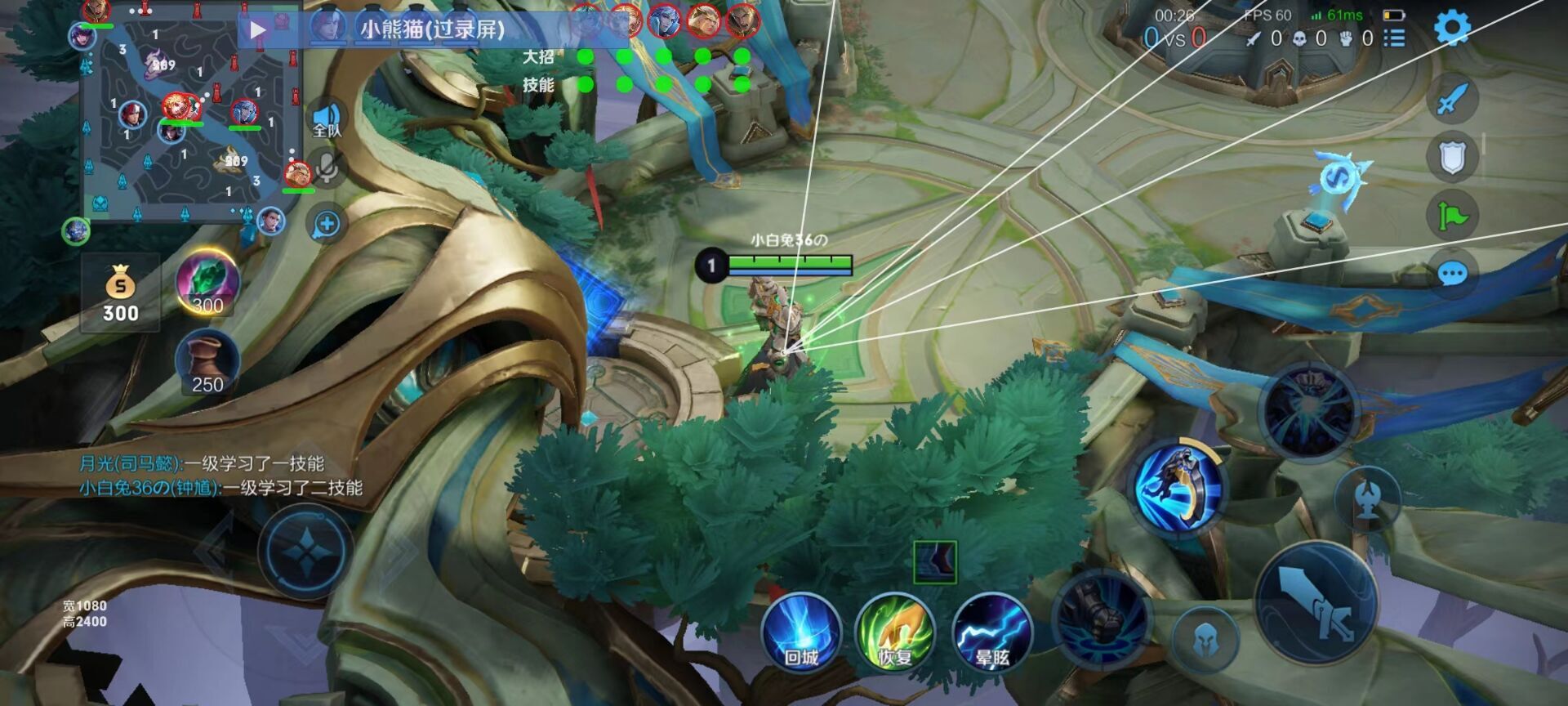 王者荣耀自瞄，安卓全版本支持苹果ios辅助透视下载,水冷王者直装 一体化绘制直装 稳定不掉帧 下载即用